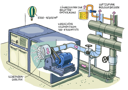Gebläseraum Biologie
