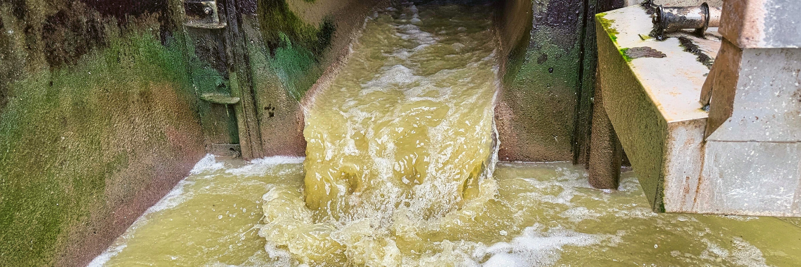 Abwasserreinigung Kloten/Opfikon