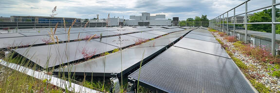 AKO – Abwasserreinigung Kloten/Opfikon