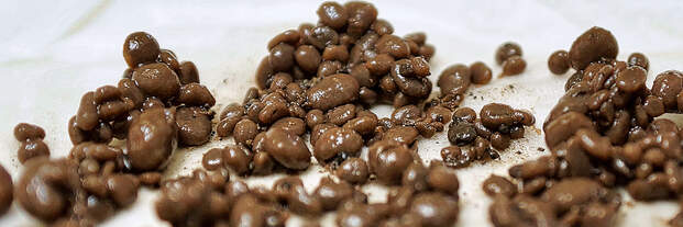 Abwasserreinigung Kloten/Opfikon