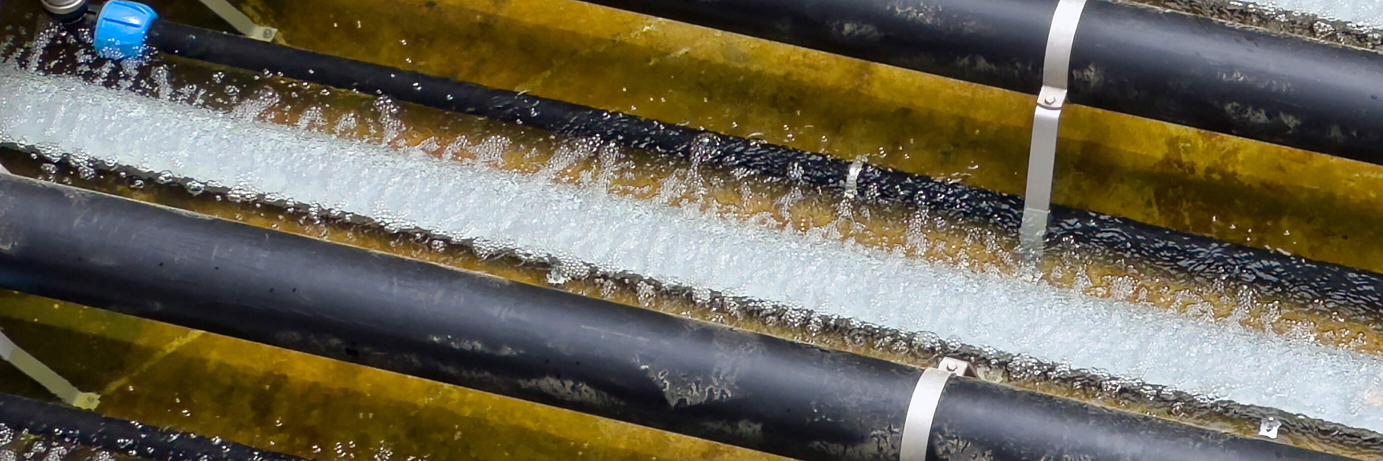 Abwasserreinigung Kloten/Opfikon