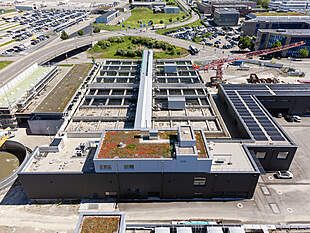 Biologische Reinigungsstufe