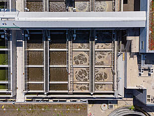 Biologische Reinigungsstufe