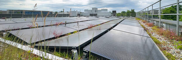 Abwasserreinigung Kloten/Opfikon