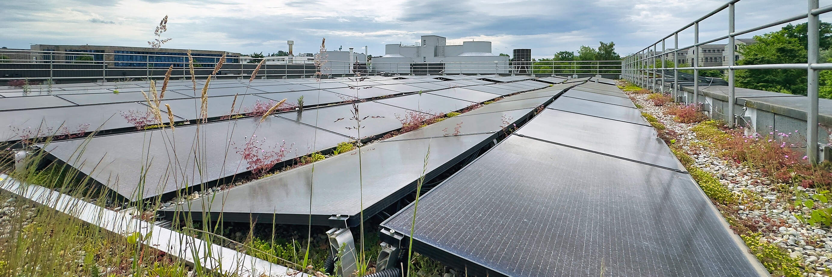 Abwasserreinigung Kloten/Opfikon