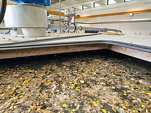 Feststoffe im Abwasser